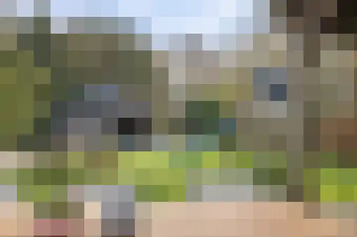Schoonloërstraat 5 Grolloo thumbnail 61
