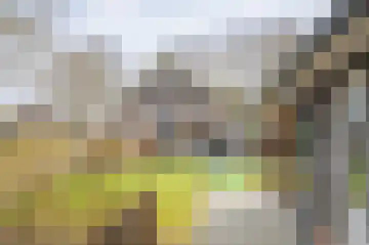 Schoonloërstraat 5 Grolloo thumbnail 66