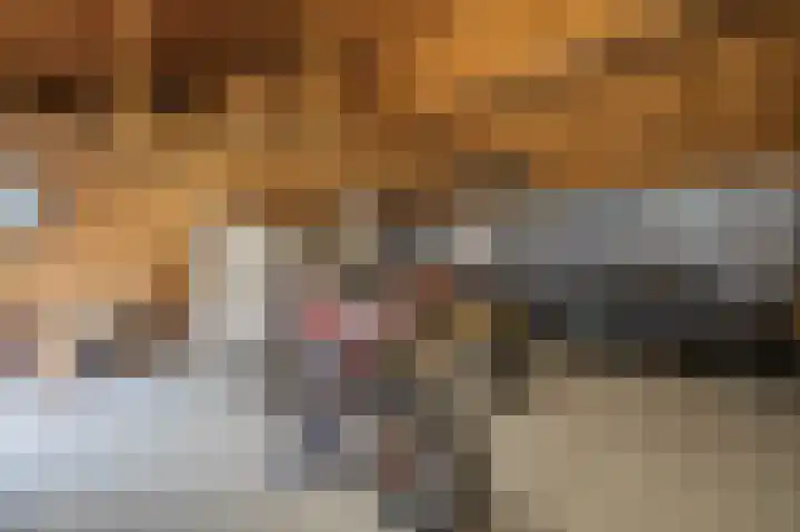 Schoonloërstraat 5 Grolloo thumbnail 68