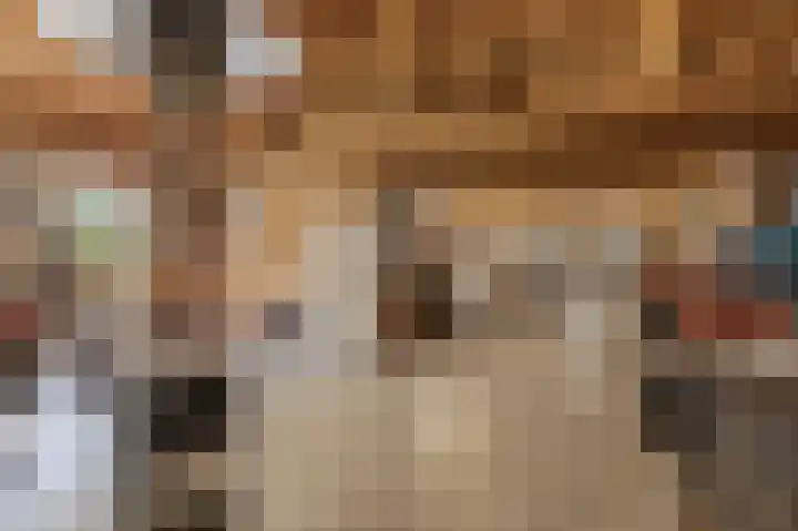 Schoonloërstraat 5 Grolloo thumbnail 69