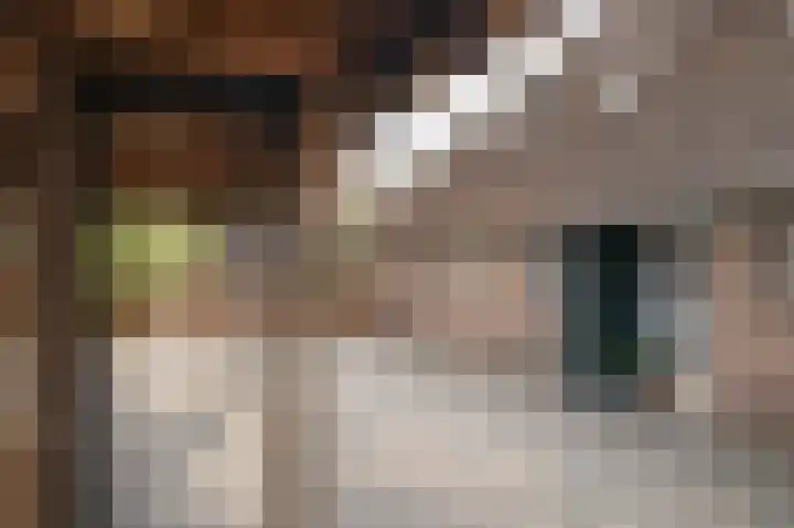 Schoonloërstraat 5 Grolloo thumbnail 7