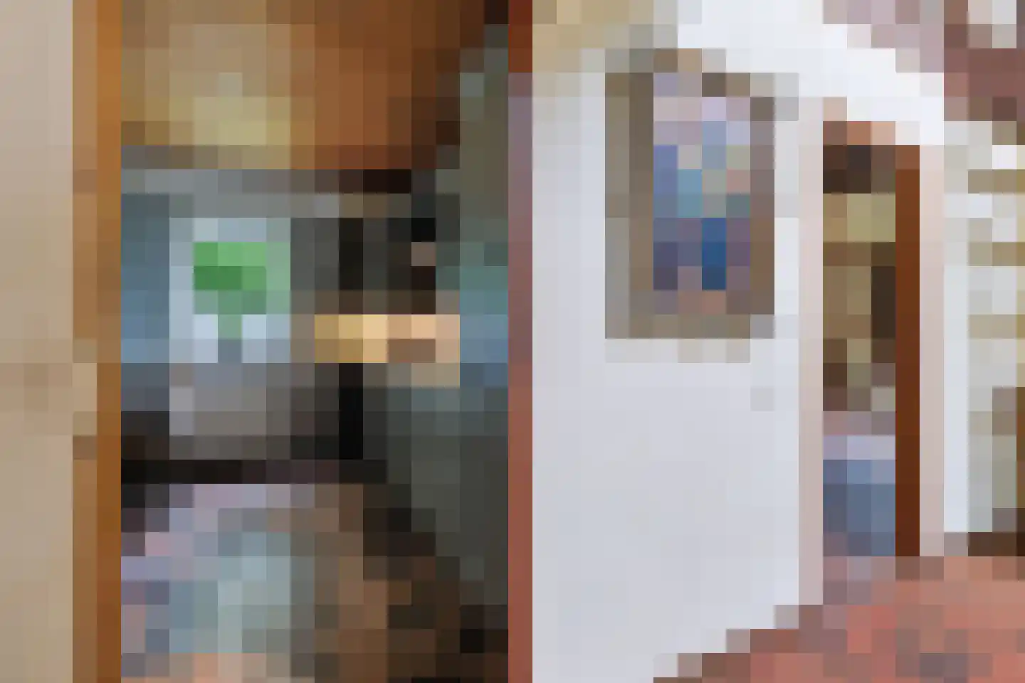 Schoonloërstraat 9 Grolloo thumbnail 11