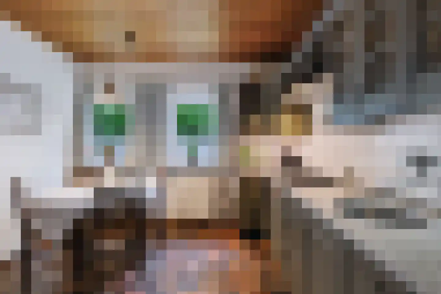Schoonloërstraat 9 Grolloo thumbnail 12