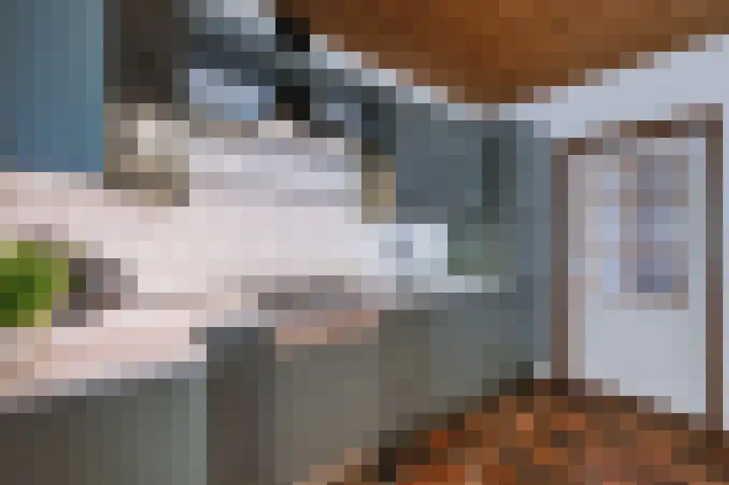 Schoonloërstraat 9 Grolloo thumbnail 13