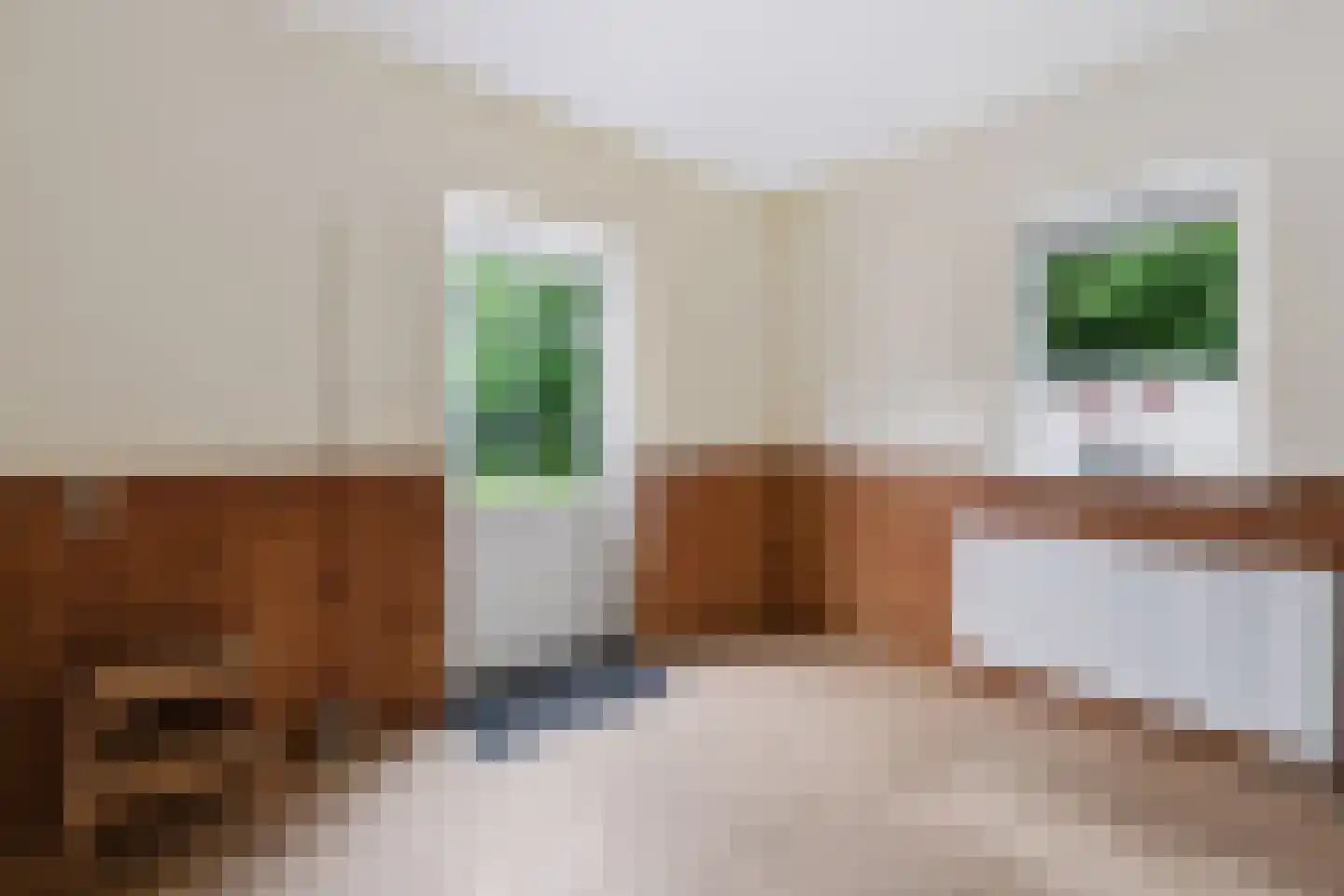 Schoonloërstraat 9 Grolloo thumbnail 15