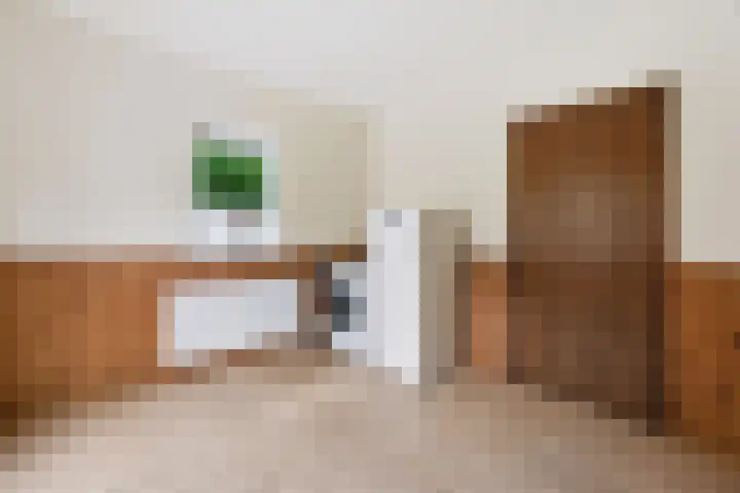 Schoonloërstraat 9 Grolloo thumbnail 16