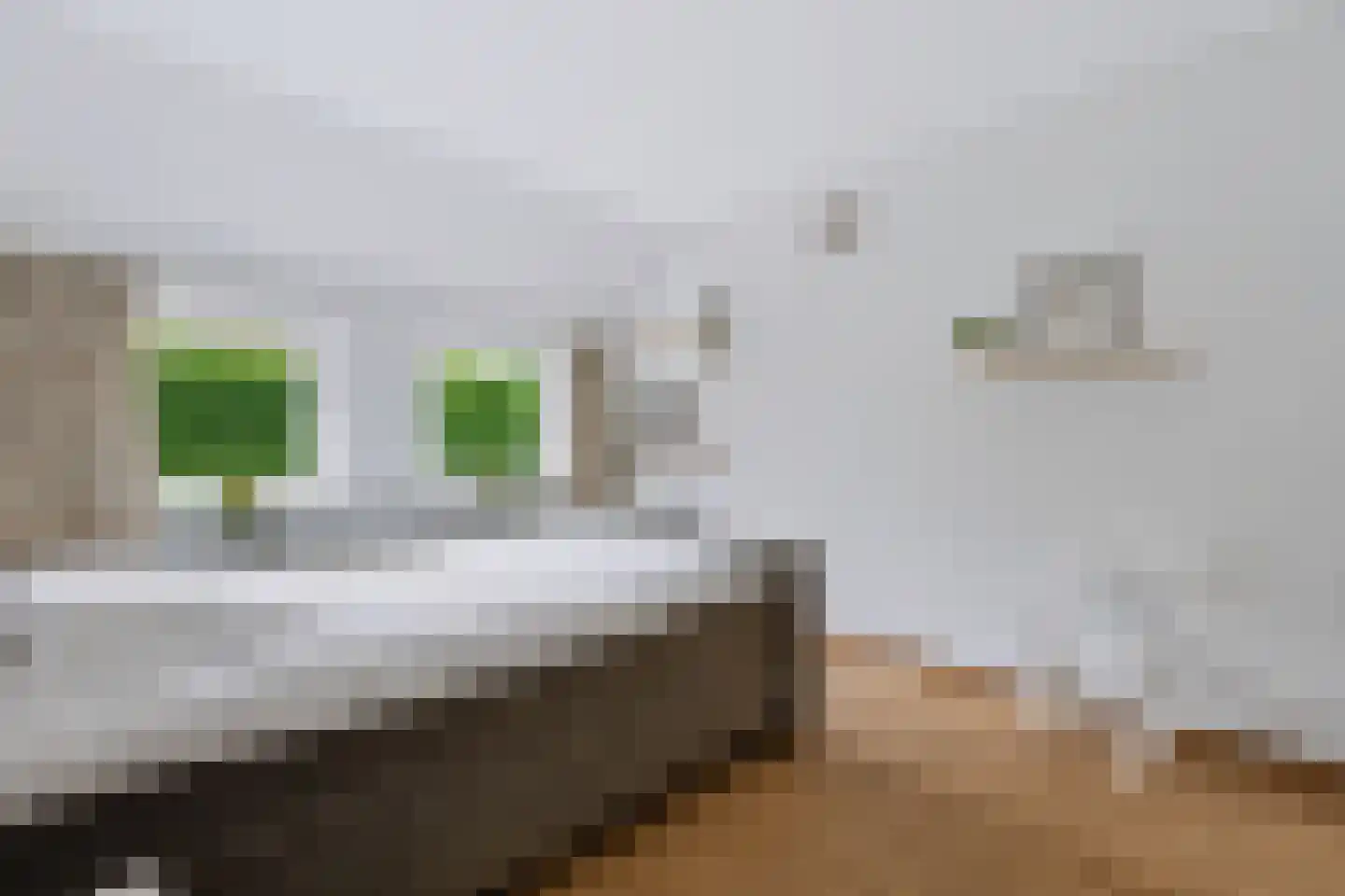 Schoonloërstraat 9 Grolloo thumbnail 18