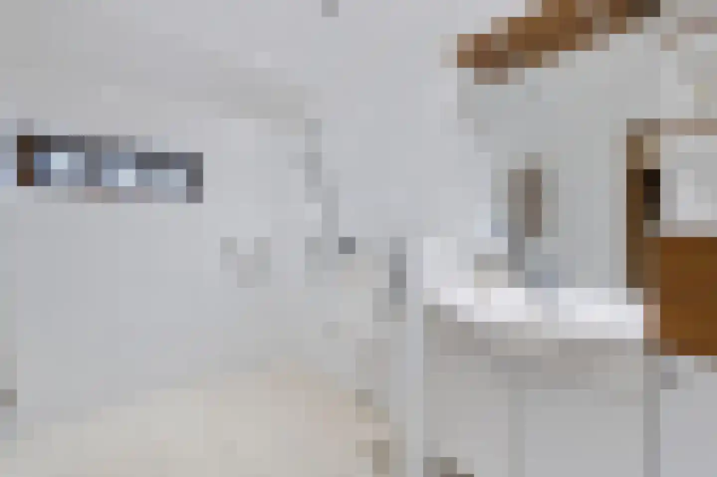 Schoonloërstraat 9 Grolloo thumbnail 19