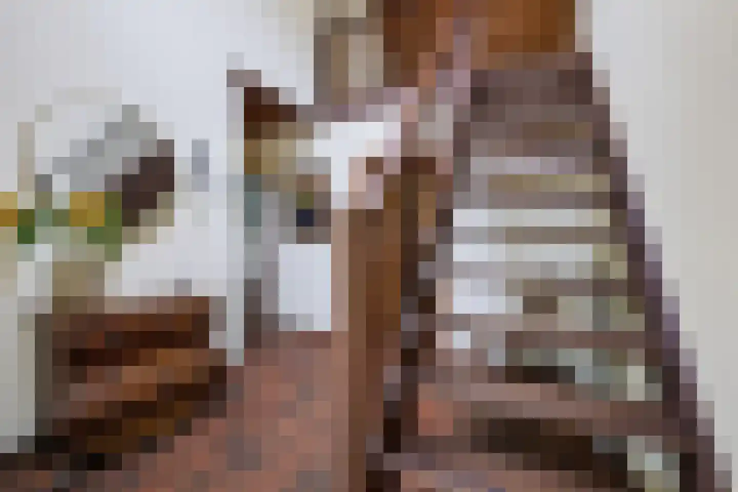 Schoonloërstraat 9 Grolloo thumbnail 21