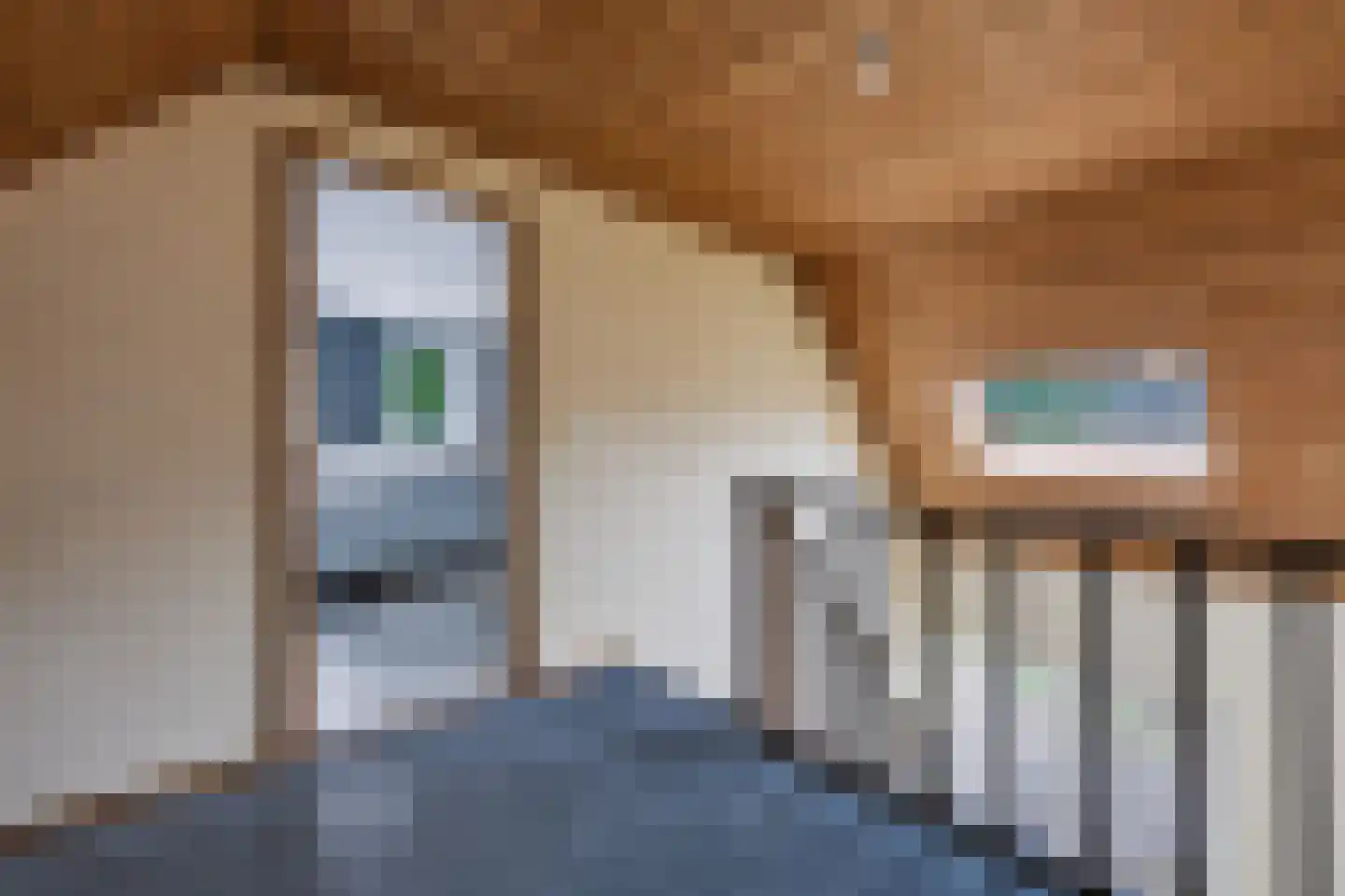 Schoonloërstraat 9 Grolloo thumbnail 22
