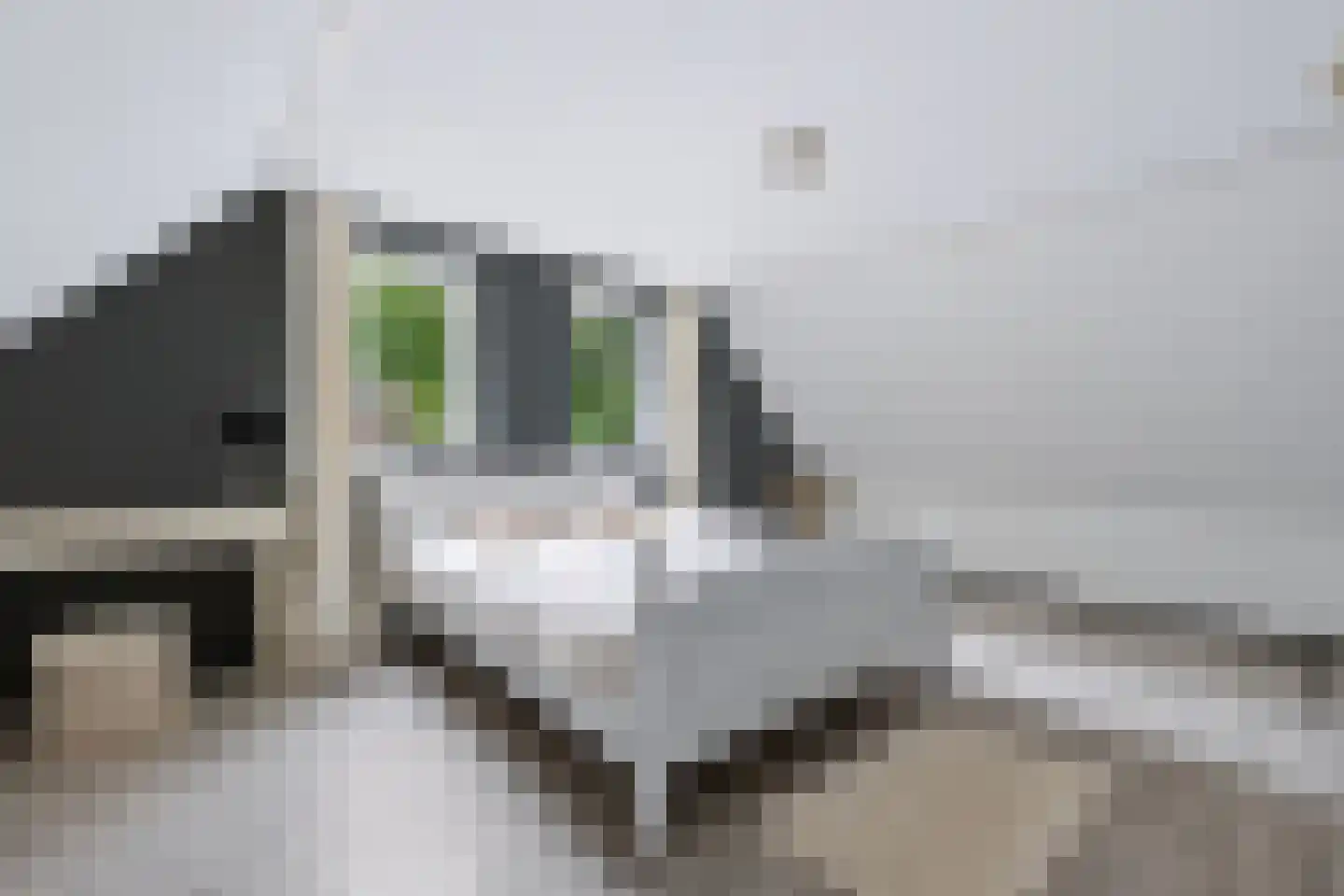 Schoonloërstraat 9 Grolloo thumbnail 23
