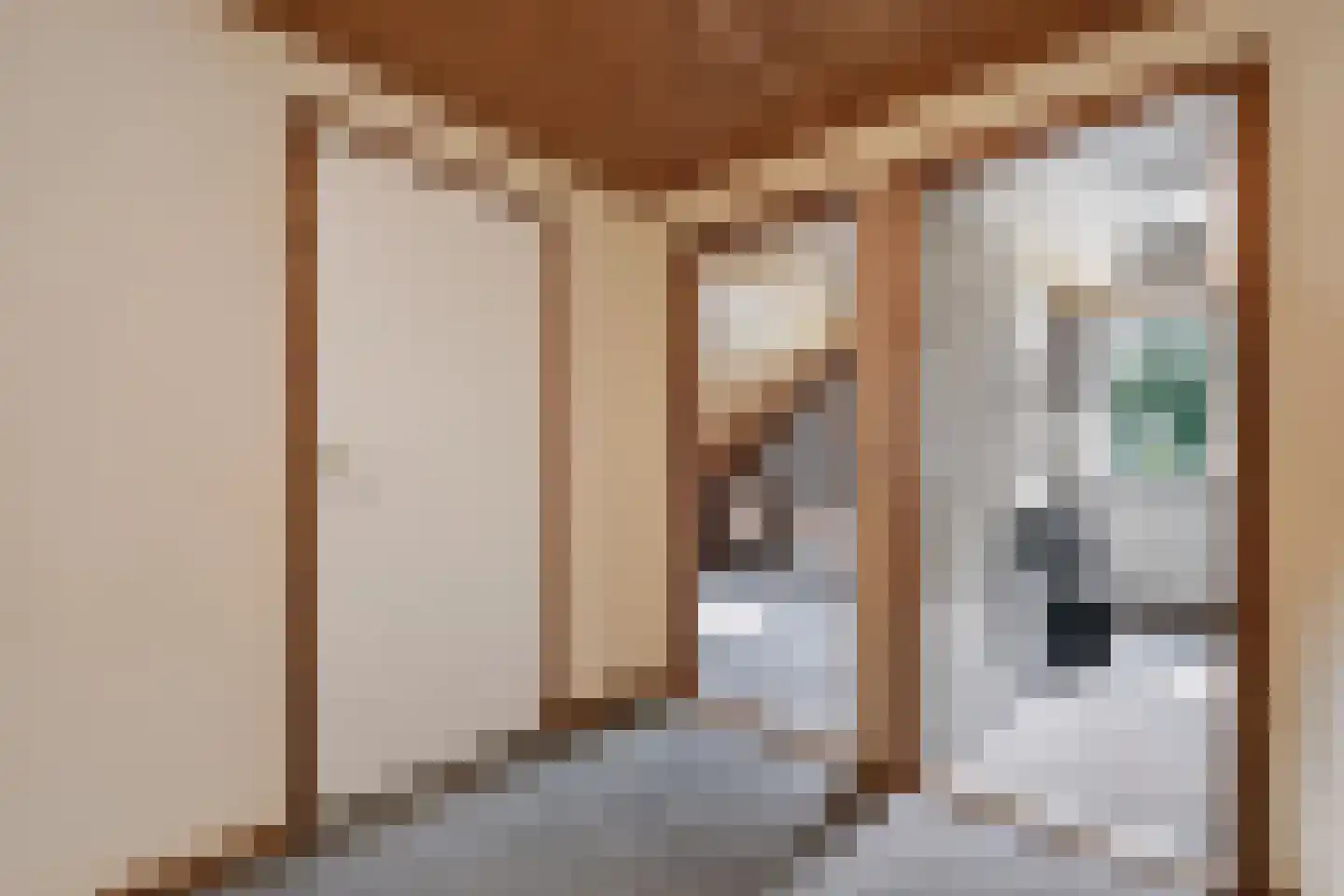 Schoonloërstraat 9 Grolloo thumbnail 25