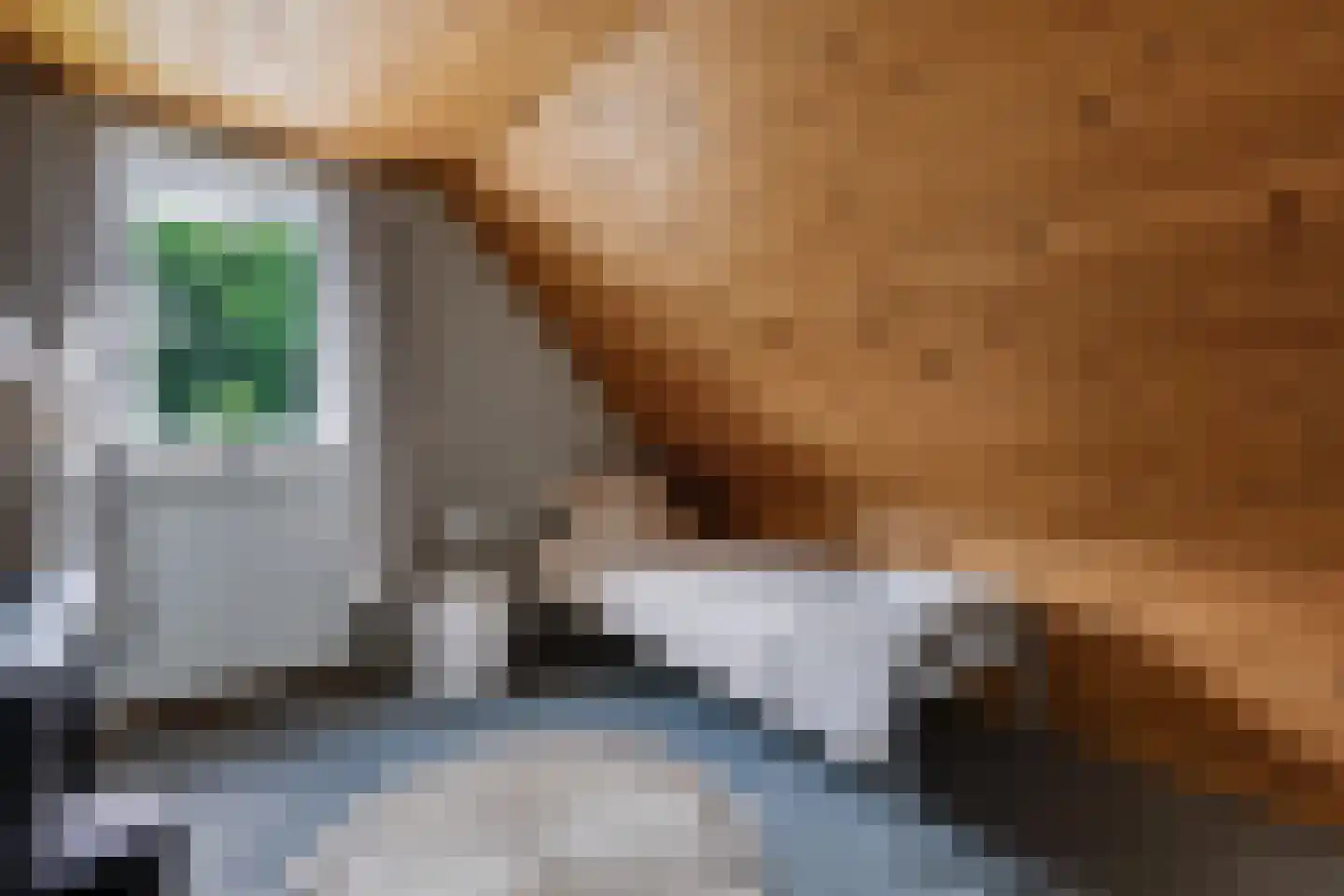 Schoonloërstraat 9 Grolloo thumbnail 26