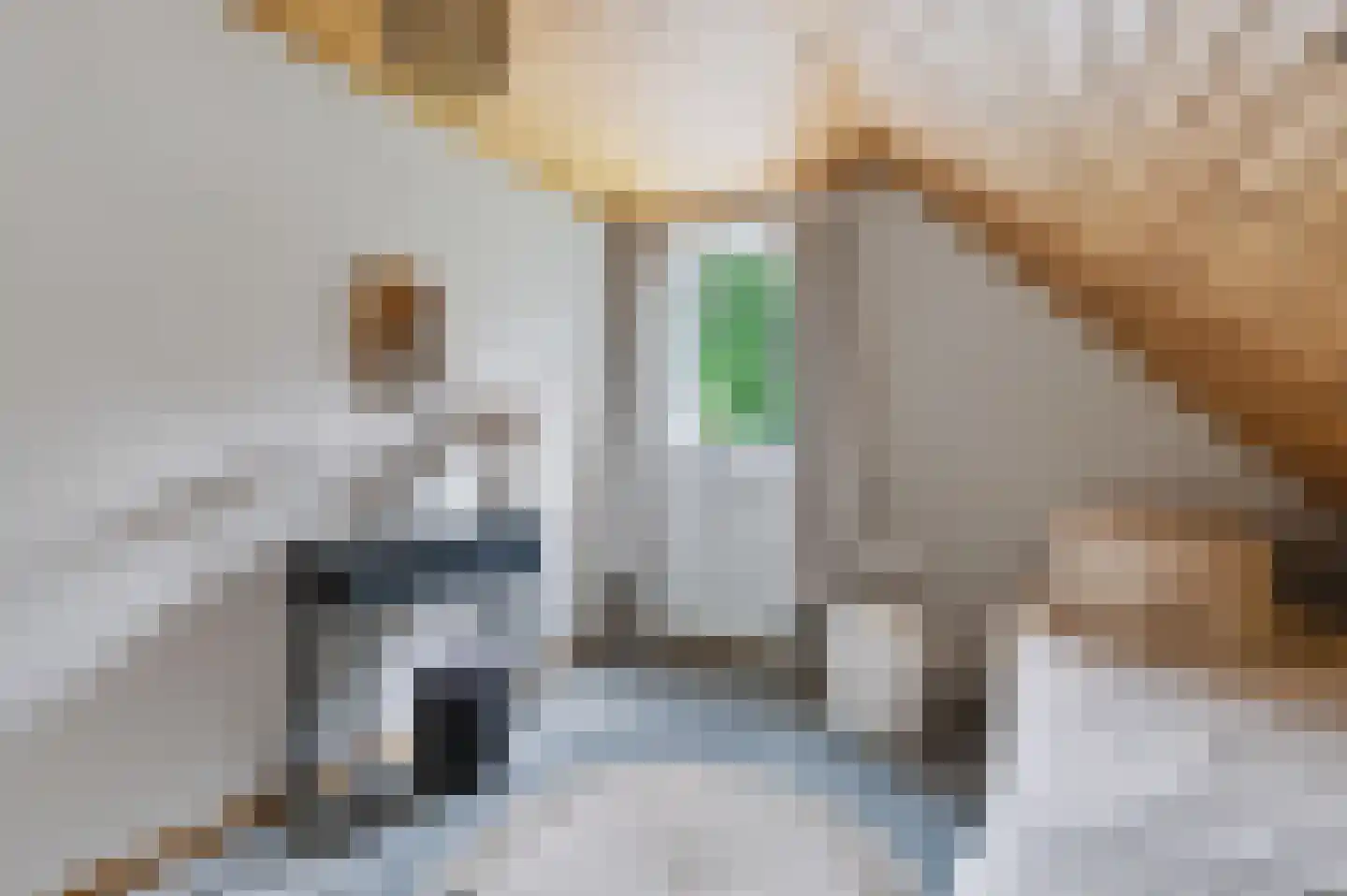 Schoonloërstraat 9 Grolloo thumbnail 27