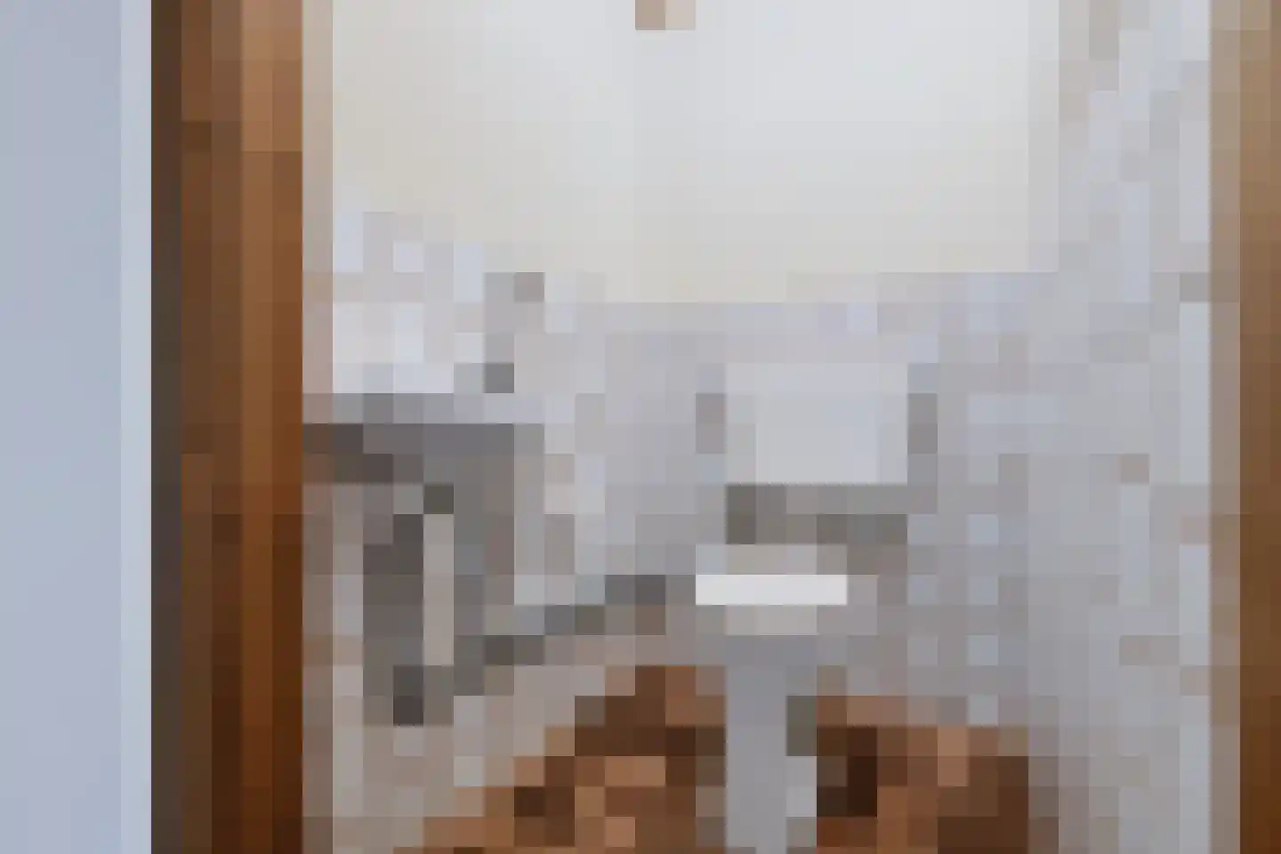 Schoonloërstraat 9 Grolloo thumbnail 29
