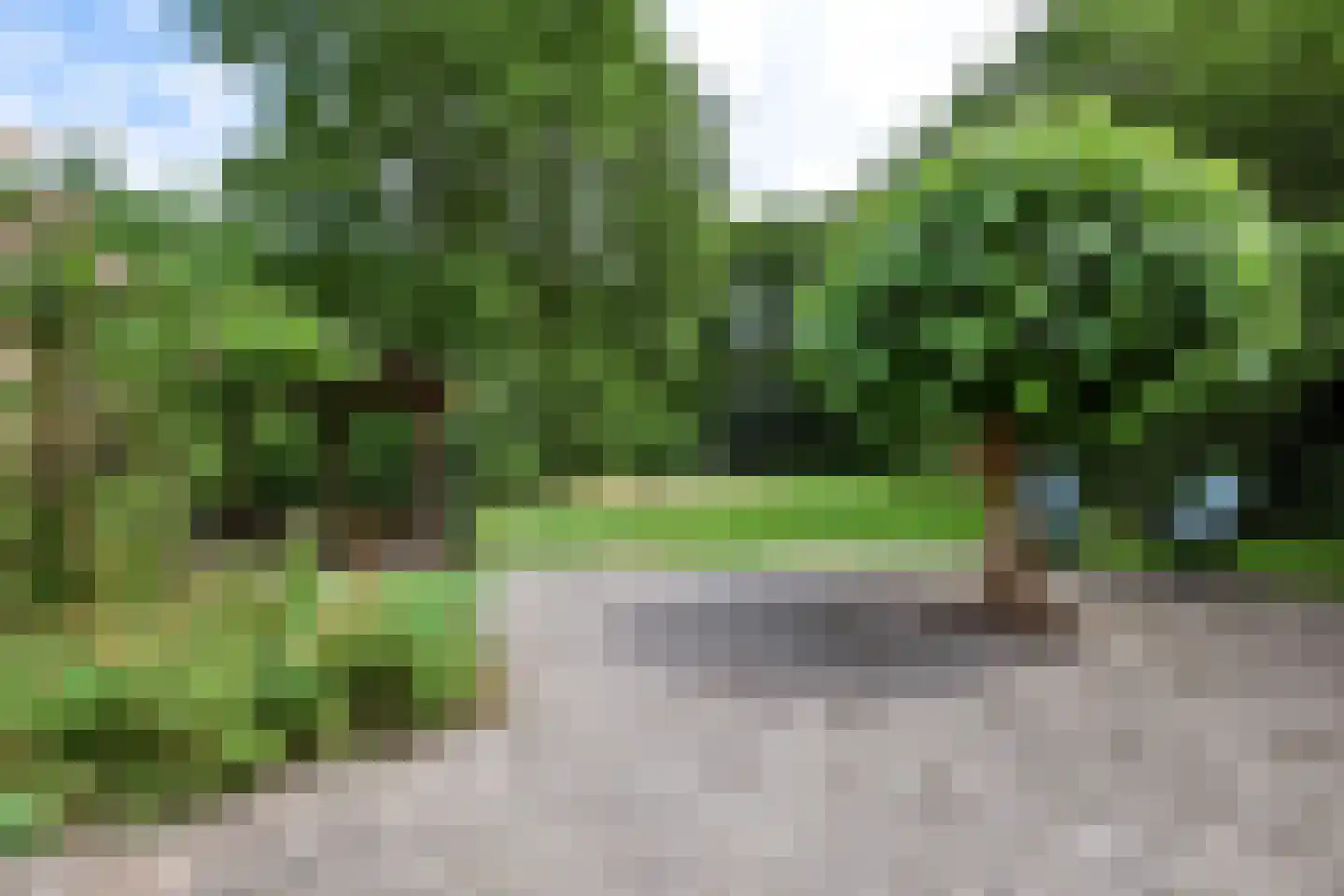 Schoonloërstraat 9 Grolloo thumbnail 35