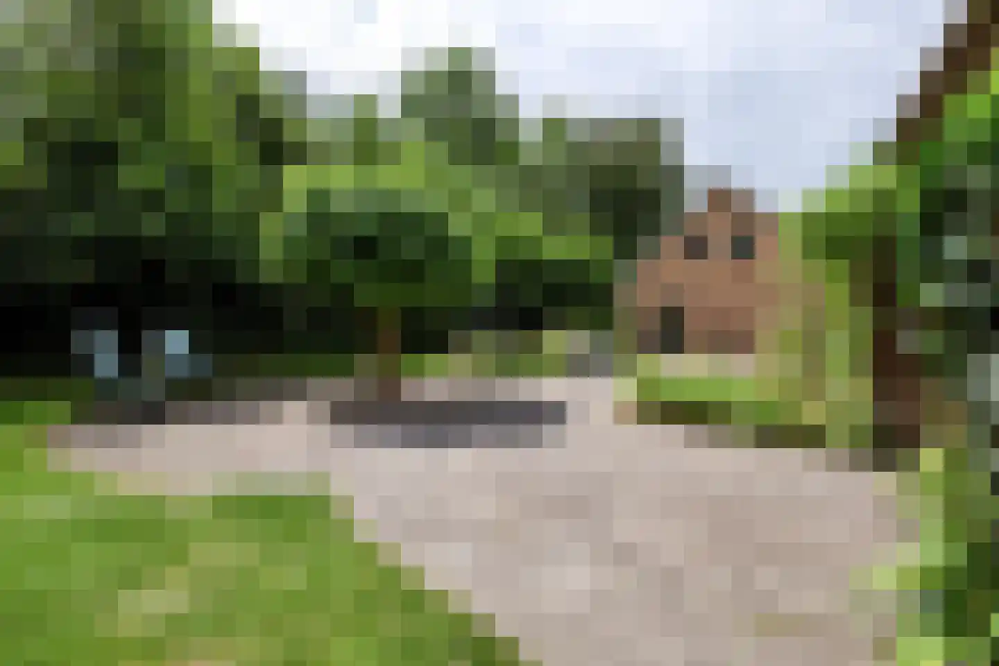 Schoonloërstraat 9 Grolloo thumbnail 36