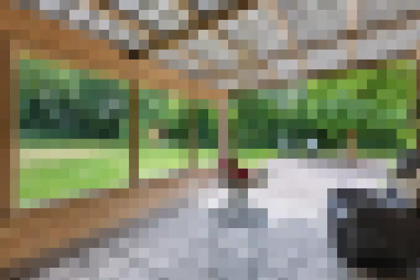 Schoonloërstraat 9 Grolloo thumbnail 37