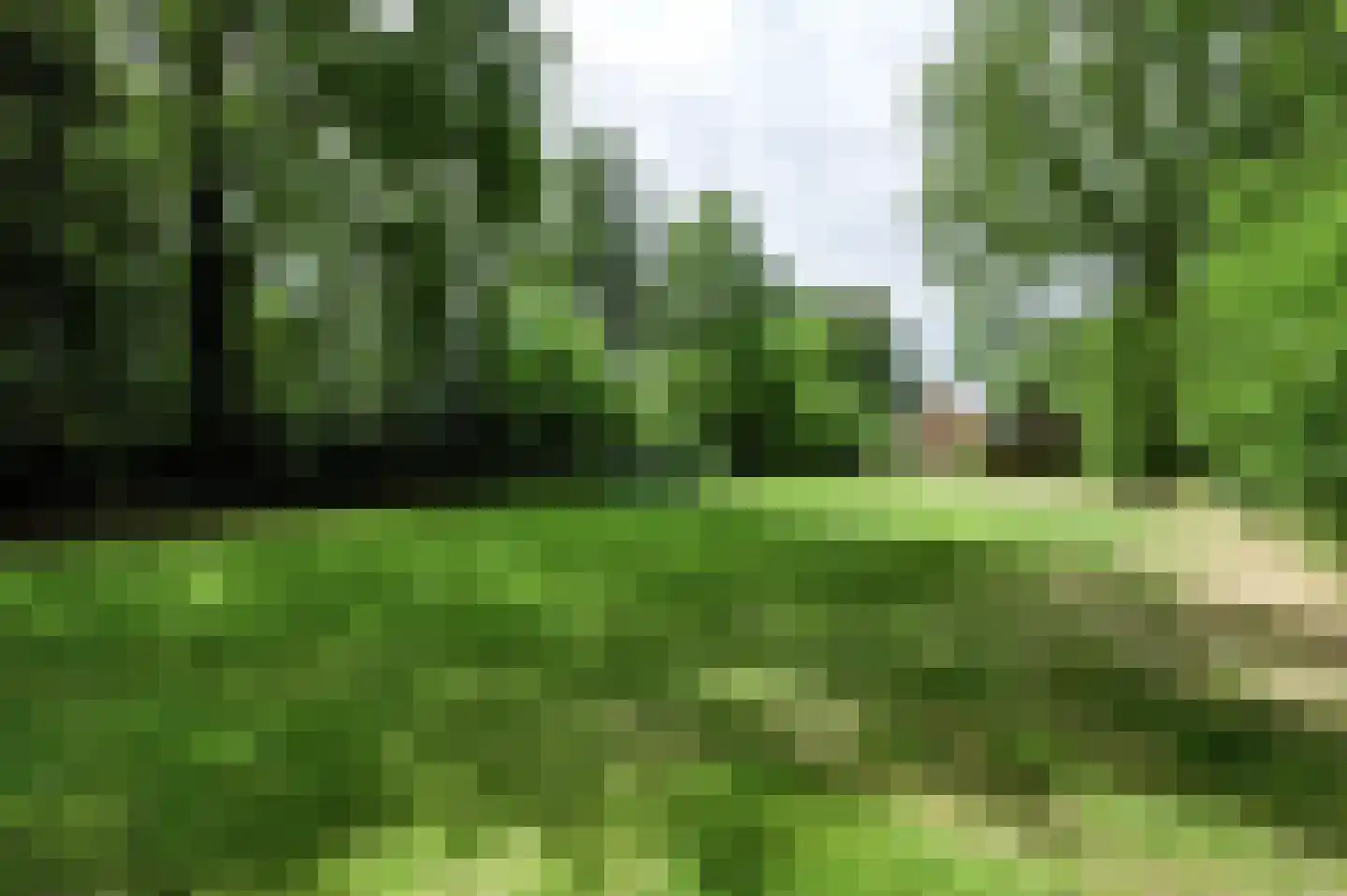 Schoonloërstraat 9 Grolloo thumbnail 38