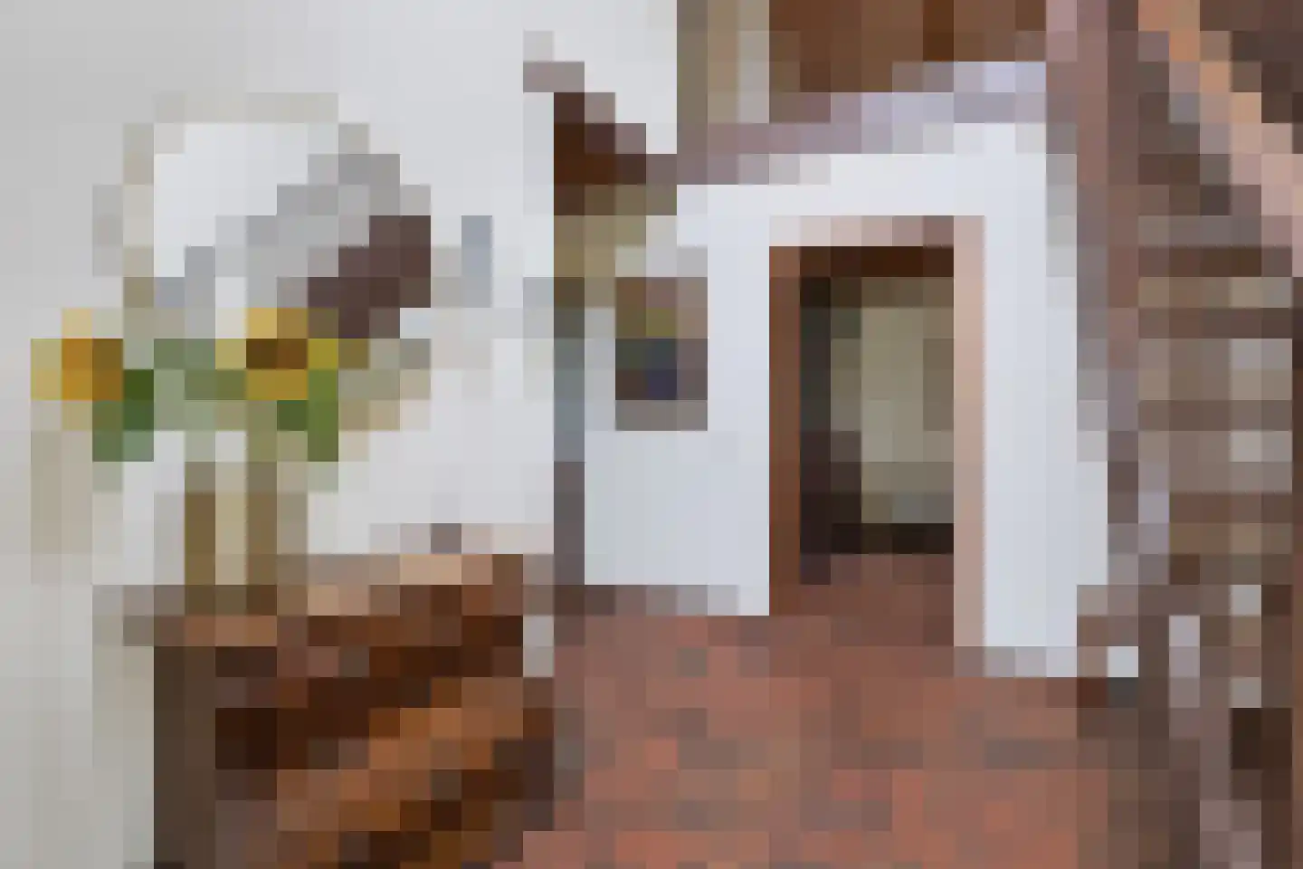 Schoonloërstraat 9 Grolloo thumbnail 4