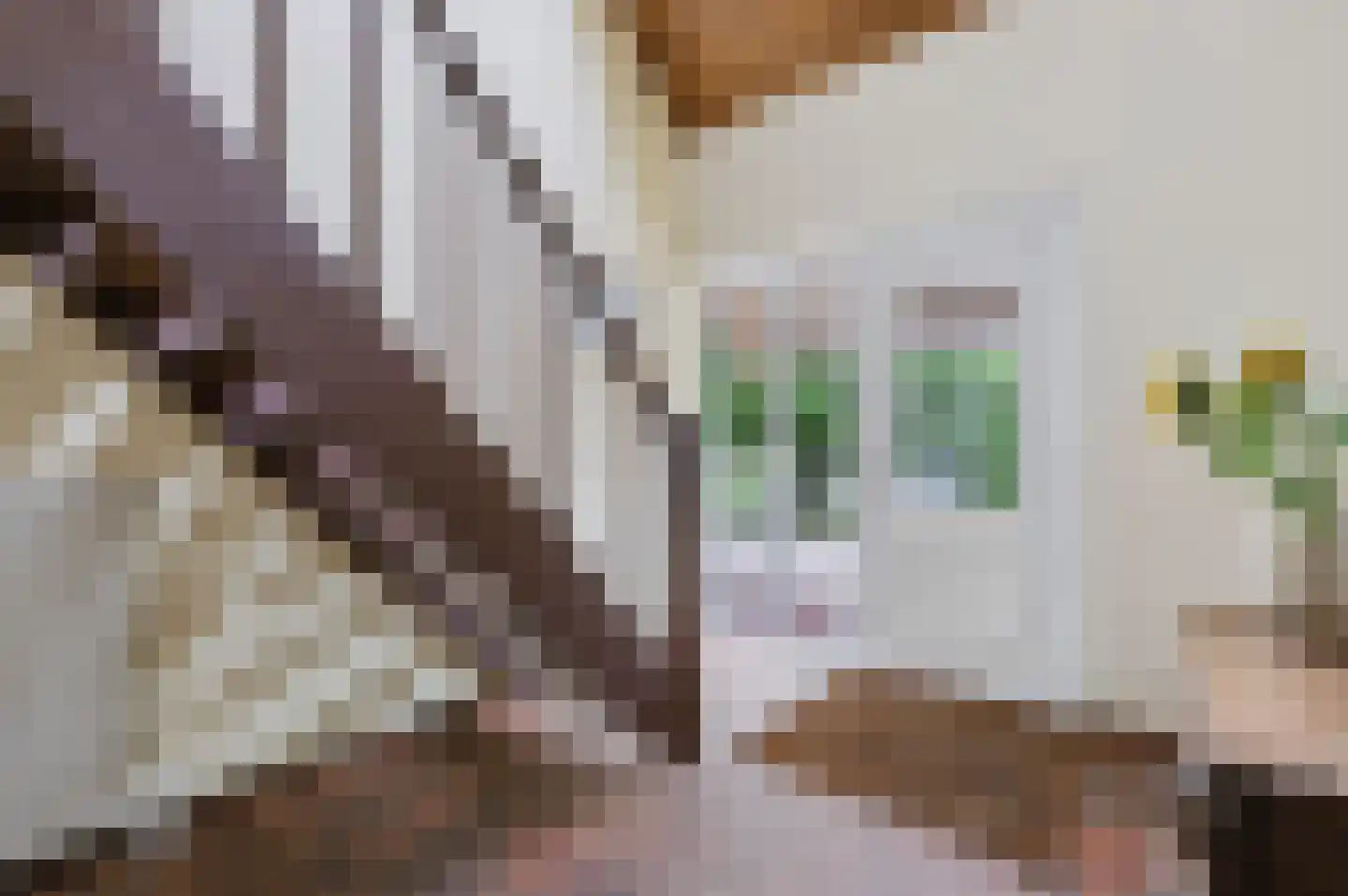 Schoonloërstraat 9 Grolloo thumbnail 5