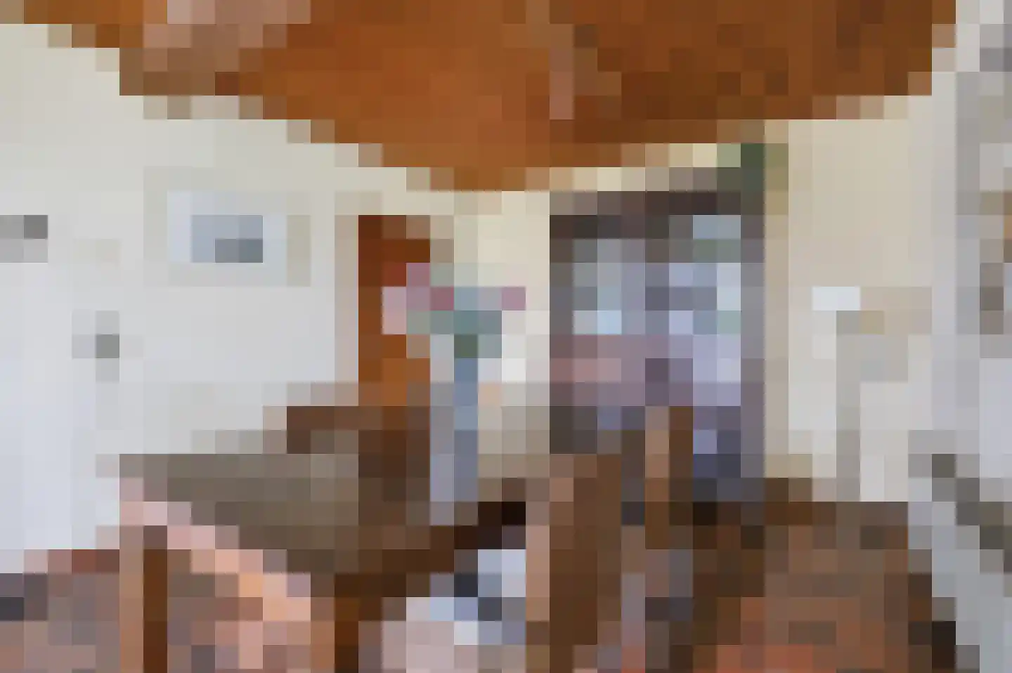 Schoonloërstraat 9 Grolloo thumbnail 7