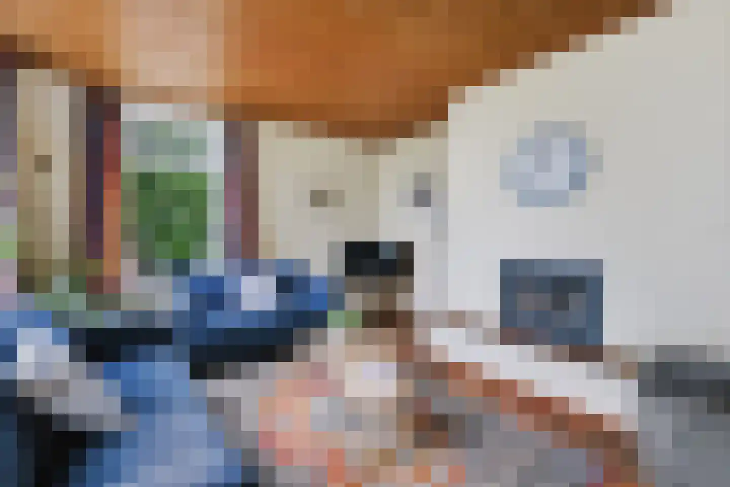 Schoonloërstraat 9 Grolloo thumbnail 8
