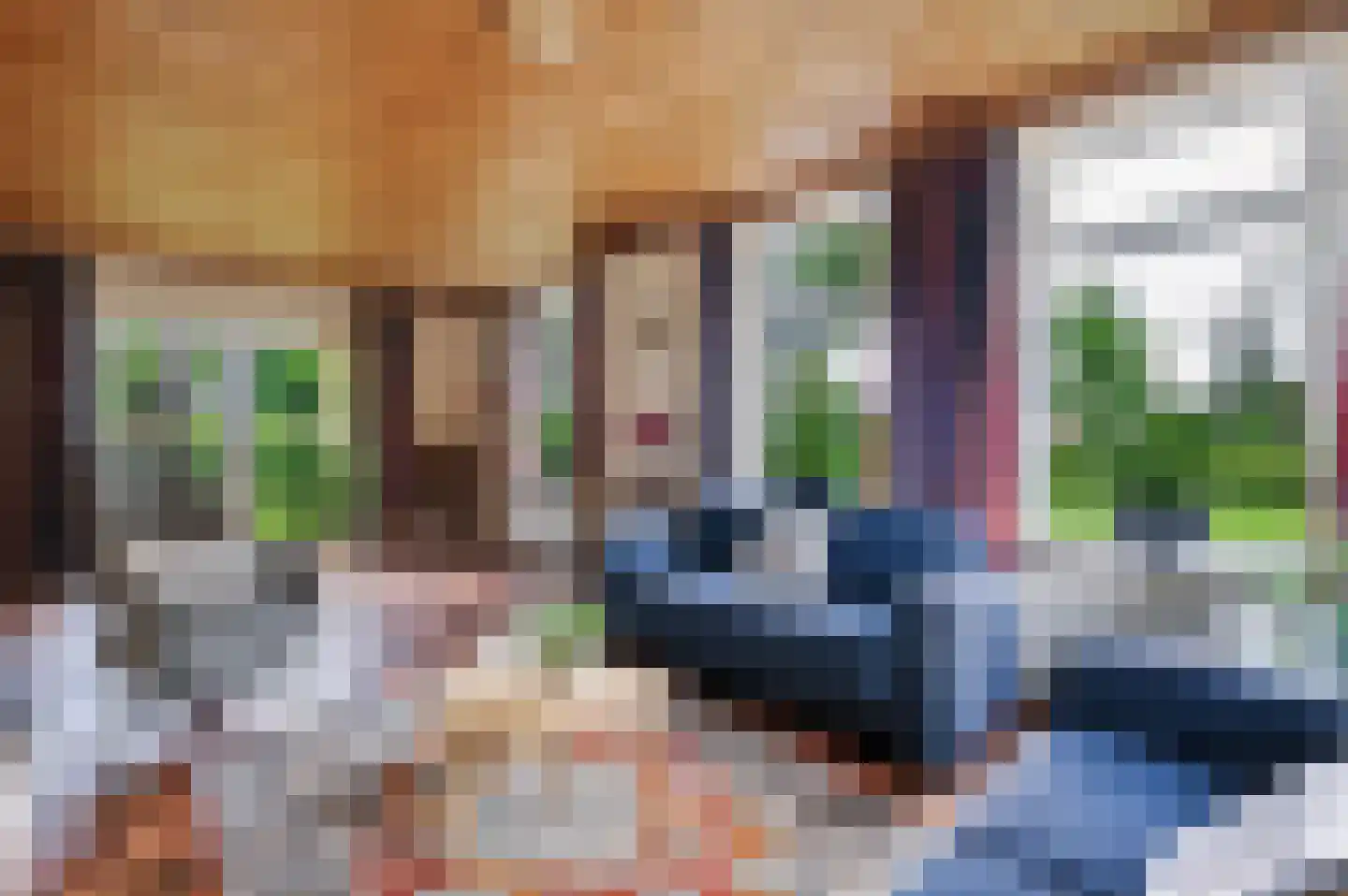 Schoonloërstraat 9 Grolloo thumbnail 9