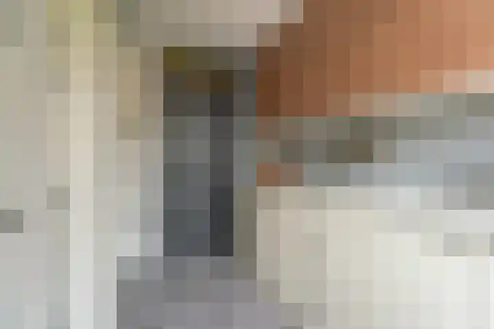 Schoonoord 100 Voorhout thumbnail 19