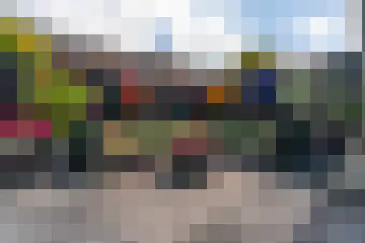 Schoonoord 100 Voorhout thumbnail 27
