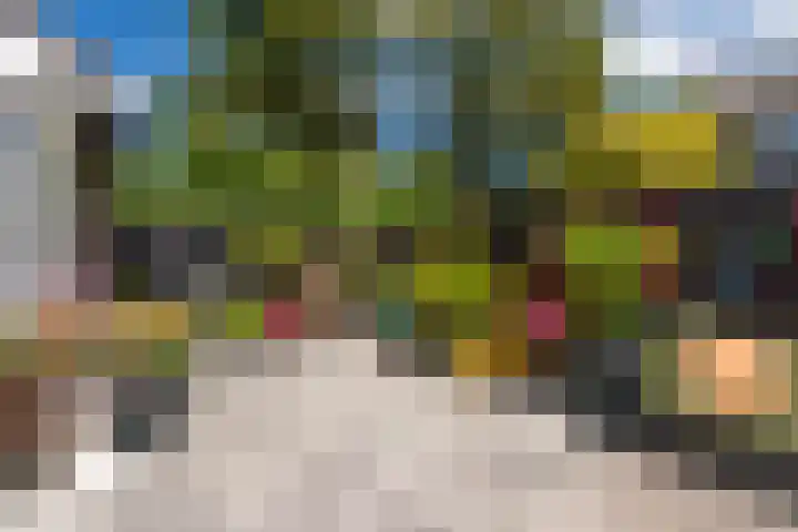 Schoonoord 100 Voorhout thumbnail 28