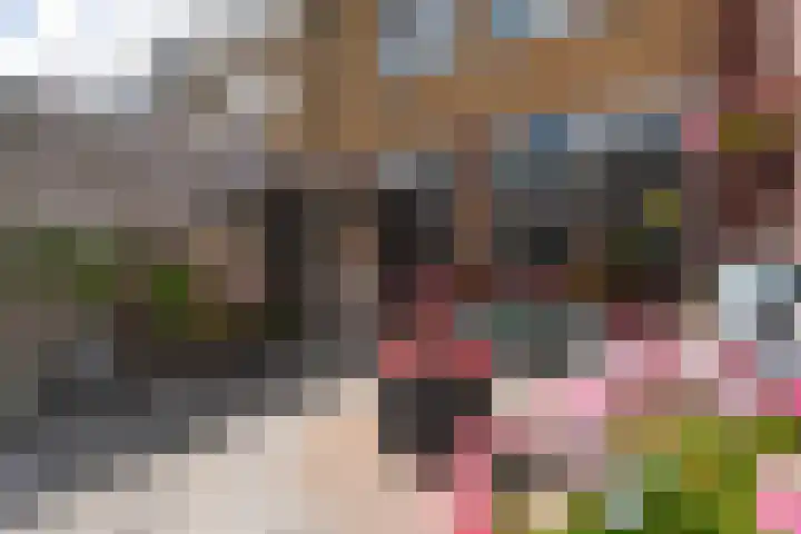 Schoonoord 100 Voorhout thumbnail 29