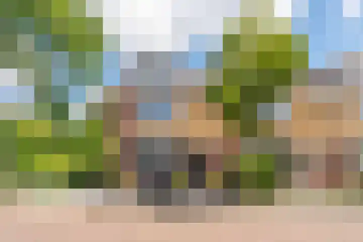 Schoonoord 100 Voorhout thumbnail 30
