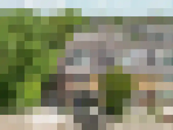 Schoonoord 100 Voorhout thumbnail 31
