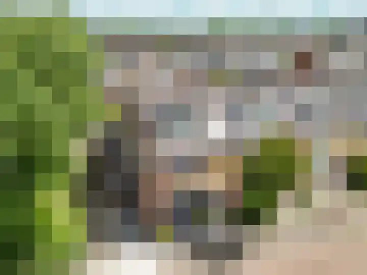 Schoonoord 100 Voorhout thumbnail 32
