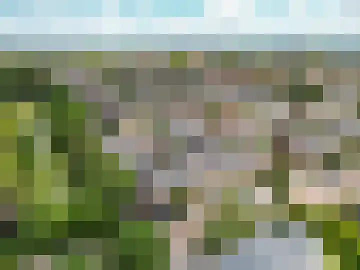 Schoonoord 100 Voorhout thumbnail 33