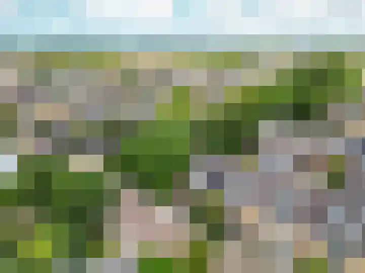 Schoonoord 100 Voorhout thumbnail 34