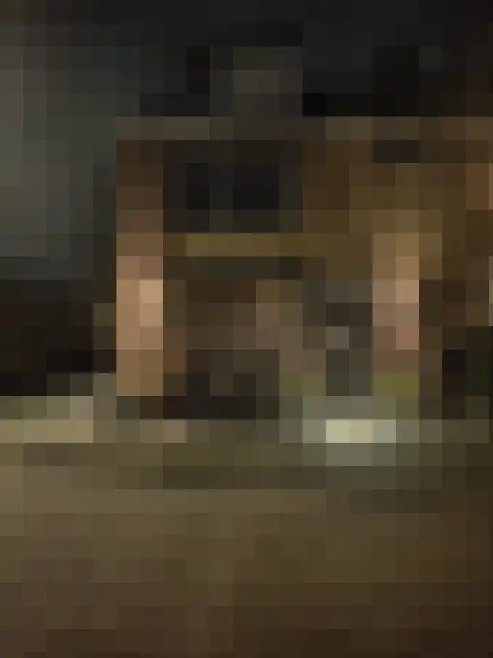 Schoonoord 100 Voorhout thumbnail 36