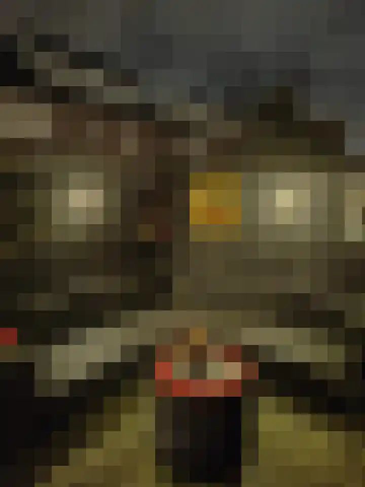 Schoonoord 100 Voorhout thumbnail 38