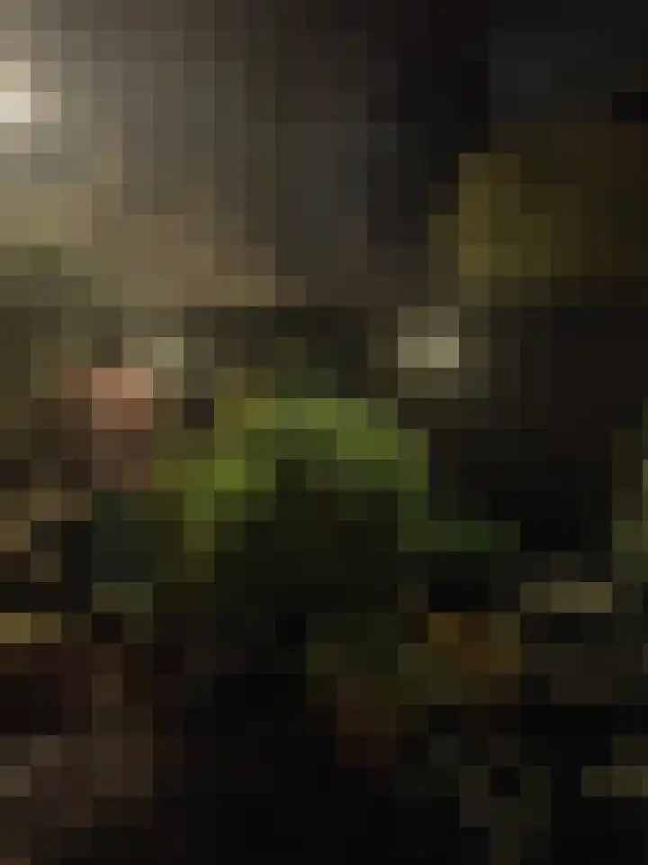 Schoonoord 100 Voorhout thumbnail 39