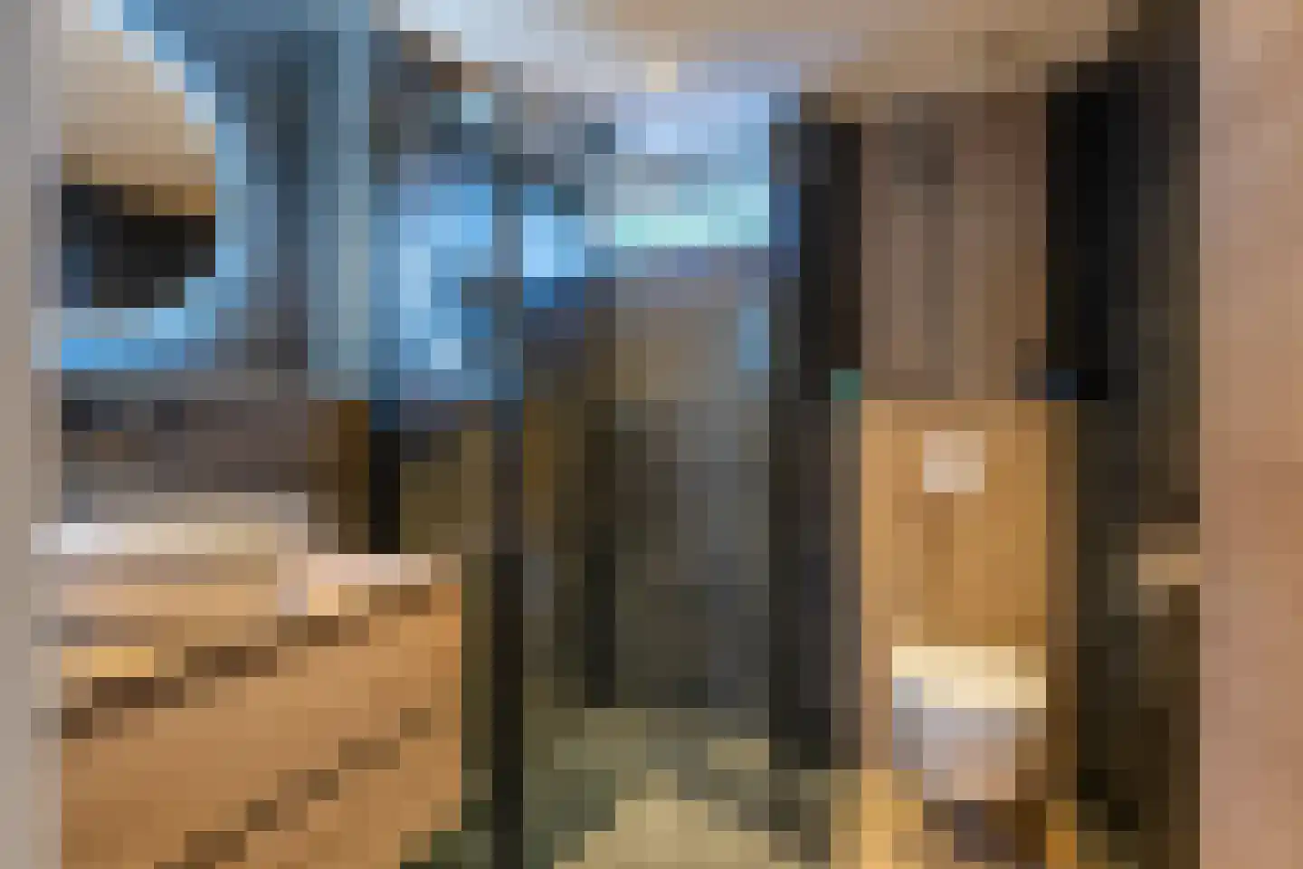 Schoonoord 14 Voorhout thumbnail 22