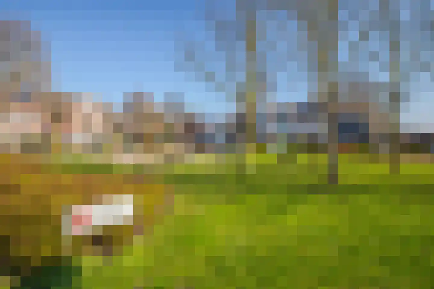 Schoonoord 31 Westervoort thumbnail 5