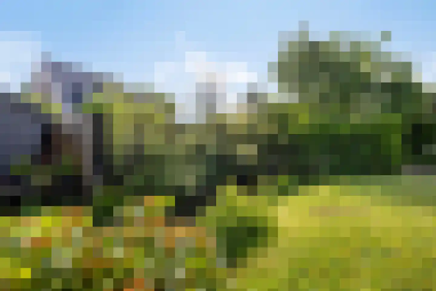 Schoonoord 7 Ysbrechtum thumbnail 40