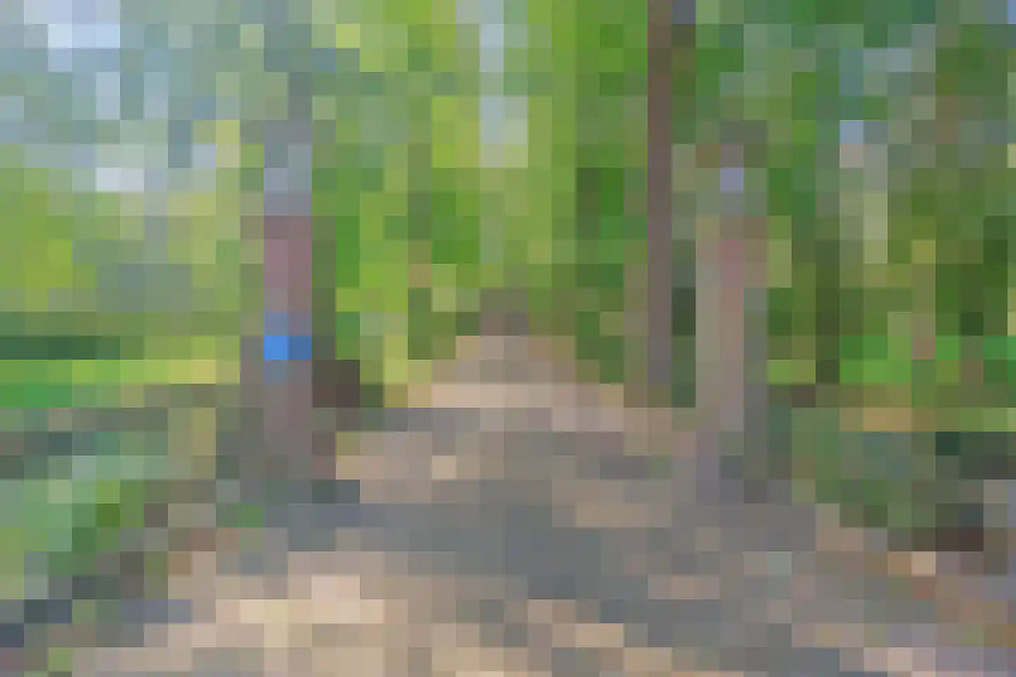 Schoonoord 7 Ysbrechtum thumbnail 46