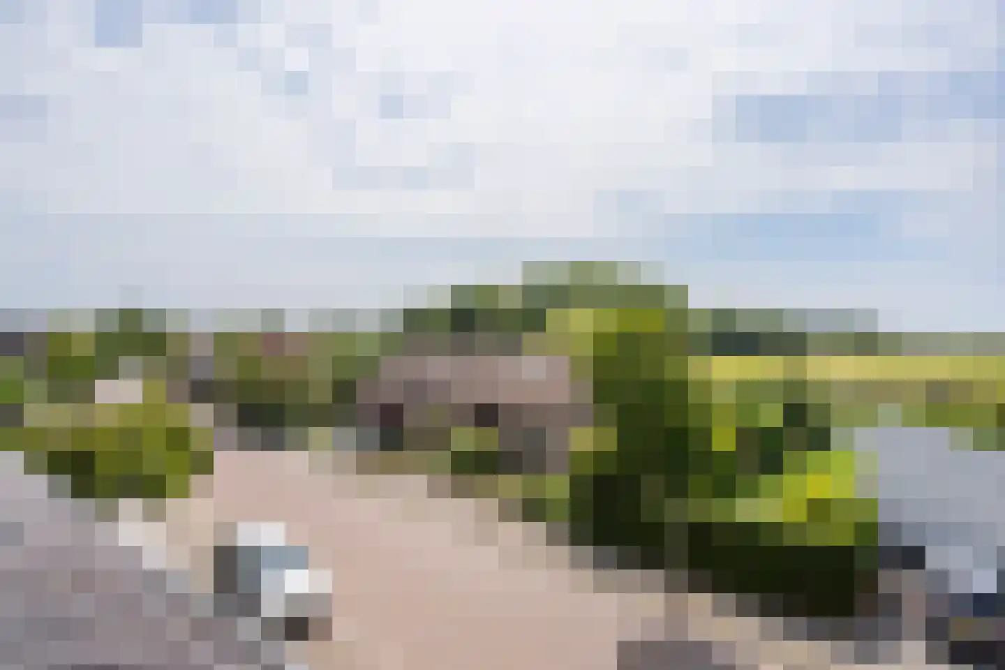 Schoonoord 94 Voorhout thumbnail 31