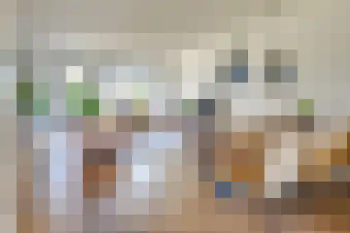 Schoonoordhof 18 Waalre thumbnail 11