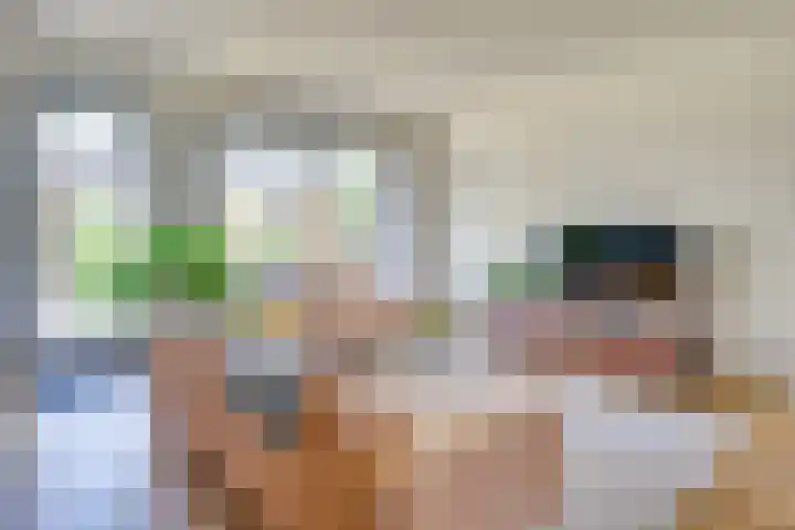 Schoonoordhof 18 Waalre thumbnail 12