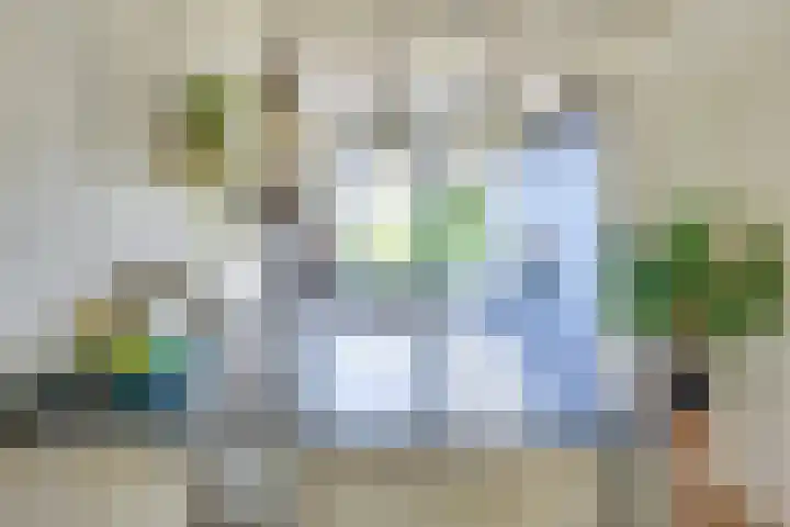 Schoonoordhof 18 Waalre thumbnail 18