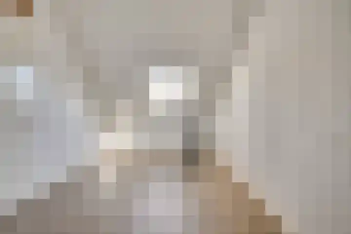 Schoonoordhof 18 Waalre thumbnail 33