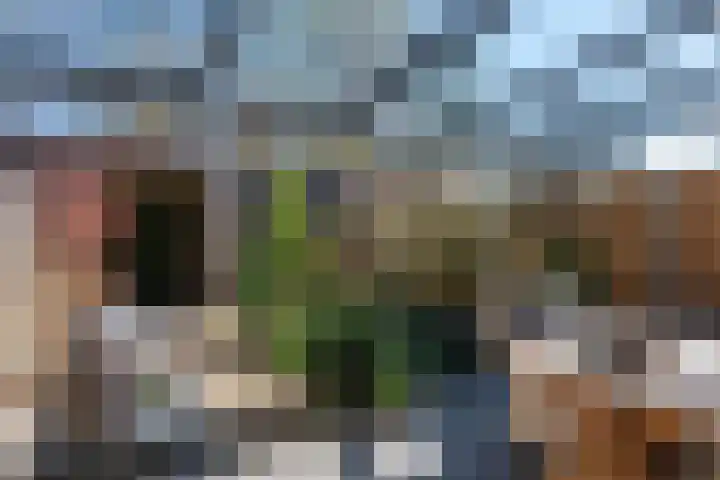 Schoonoordhof 18 Waalre thumbnail 37